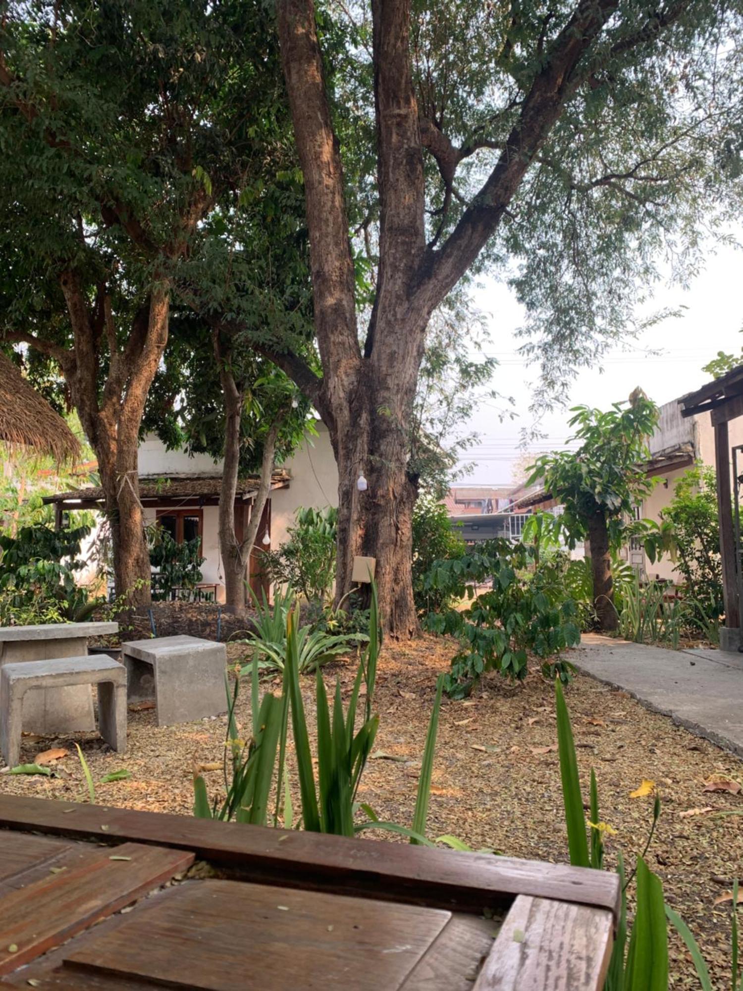 פאי บ้านใจแปงโฮมสเตย์ Ban Jaipang Homestay מראה חיצוני תמונה