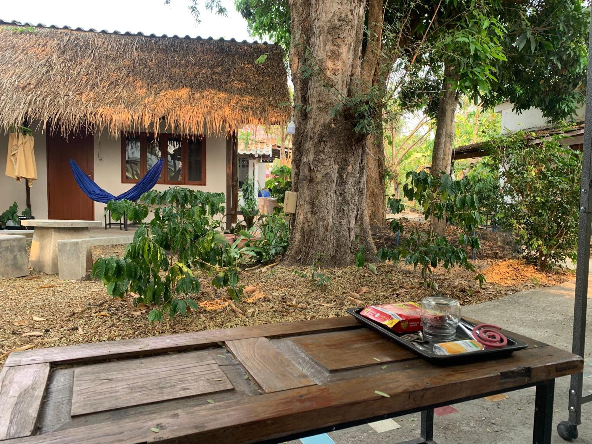 פאי บ้านใจแปงโฮมสเตย์ Ban Jaipang Homestay מראה חיצוני תמונה