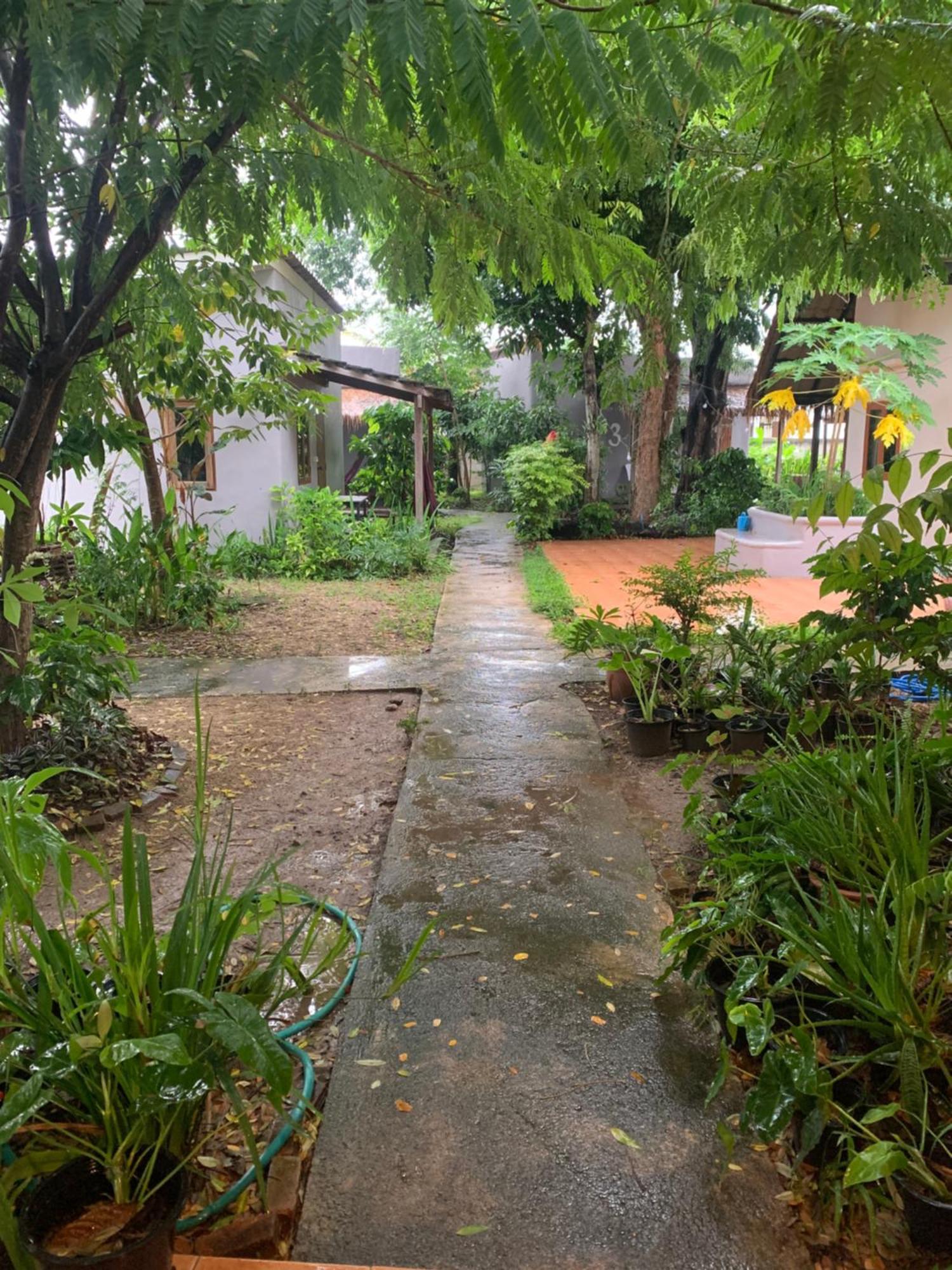 פאי บ้านใจแปงโฮมสเตย์ Ban Jaipang Homestay מראה חיצוני תמונה