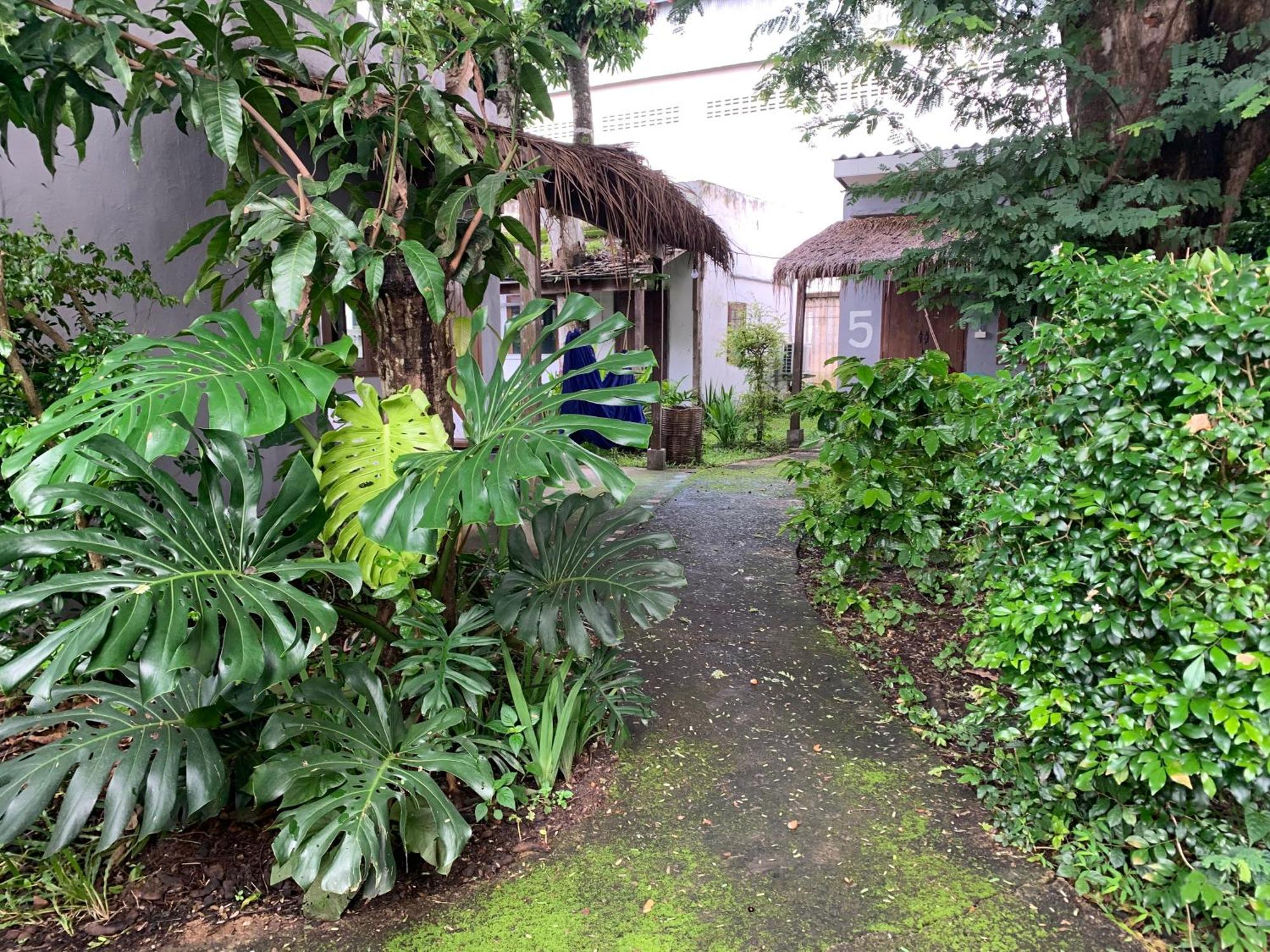 פאי บ้านใจแปงโฮมสเตย์ Ban Jaipang Homestay מראה חיצוני תמונה
